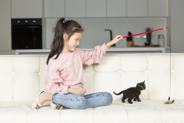 ソファの上でおもちゃで遊ぶ女の子と黒い子猫