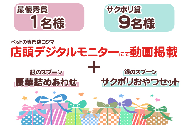 プレゼント