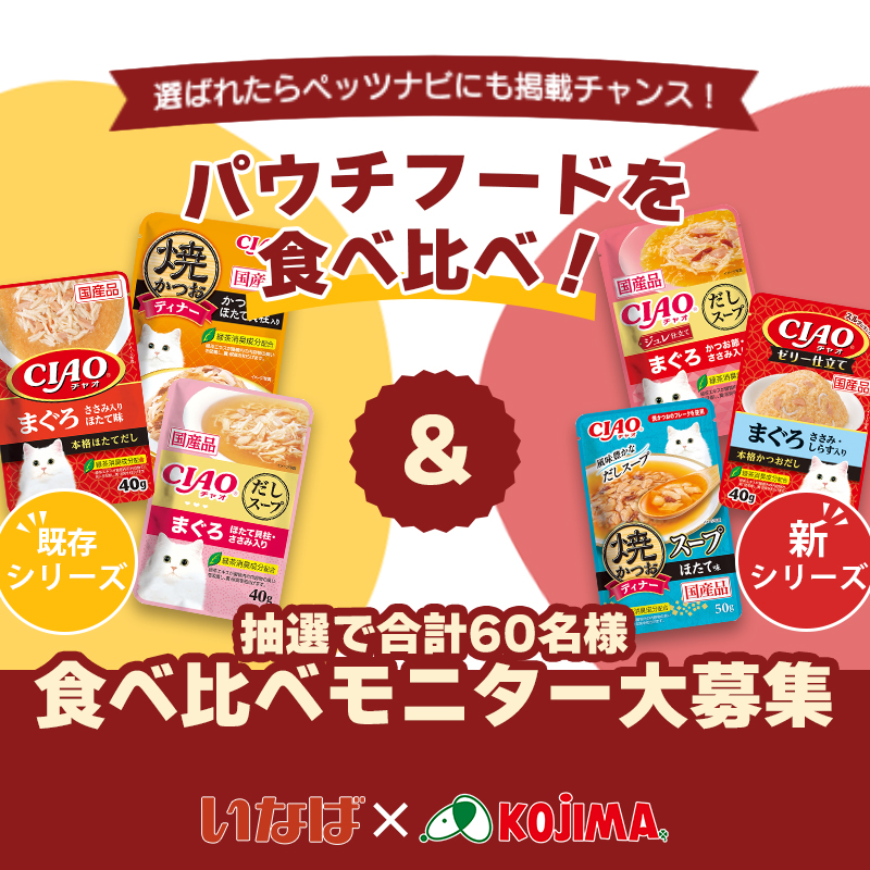 いなばペットフードのウェットパウチに新商品が登場！形状が異なる2種を食べ比べてくれるモニターネコちゃん大募集！