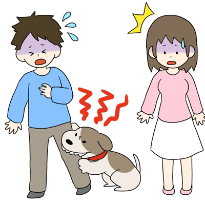 犬が噛む9つの理由～噛む原因を取り除いて噛み癖を治そう！