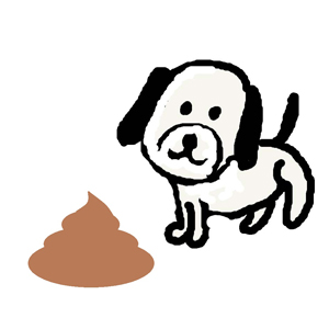 犬の食糞の原因～犬がウンチを食べるのをやめさせる方法