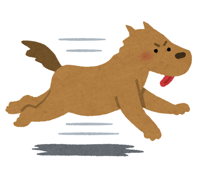 run_dog