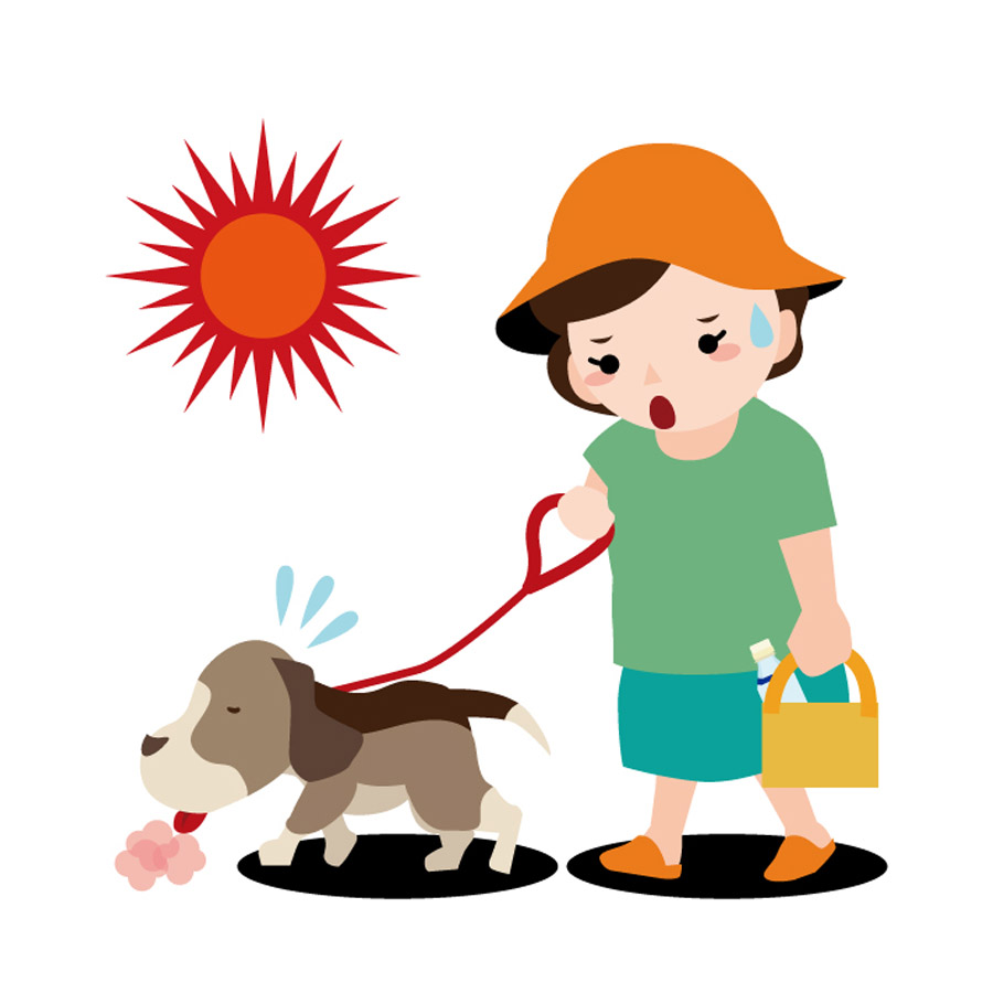 愛犬の炎天下の中での散歩は危険？