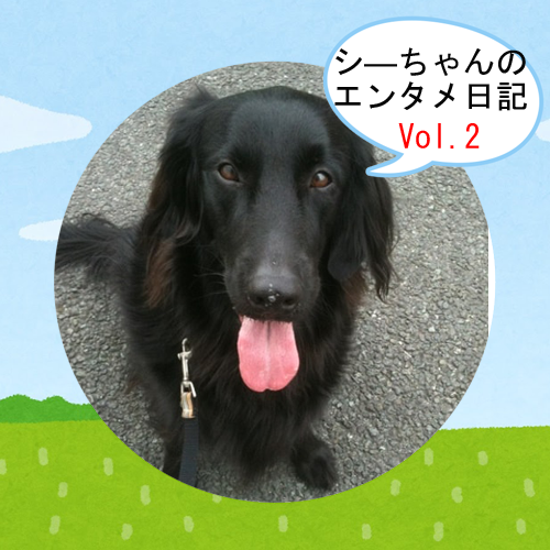 【シ―ちゃんのエンタメ日記】奥ゆかしき、和の雰囲気を持っている先代犬 のお話 Vol.②