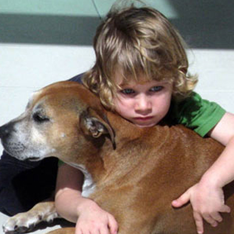 「なぜ犬の寿命は人間よりも短いの？」親友を見送った後の少年の言葉に涙。