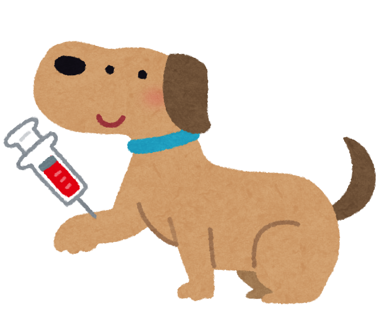 犬のフィラリア症予防のために血液検査