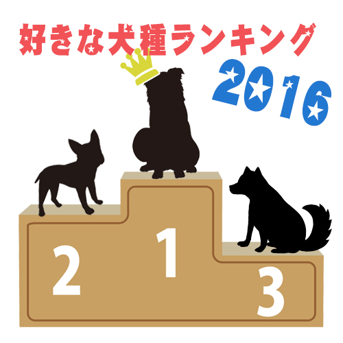 【好きな犬種ランキング2016】第1位は…定番の人気ワンちゃん！