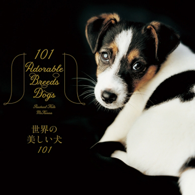 犬好き必見！ビジュアル犬図鑑の決定版『世界の美しい犬101』が12月9日発売！