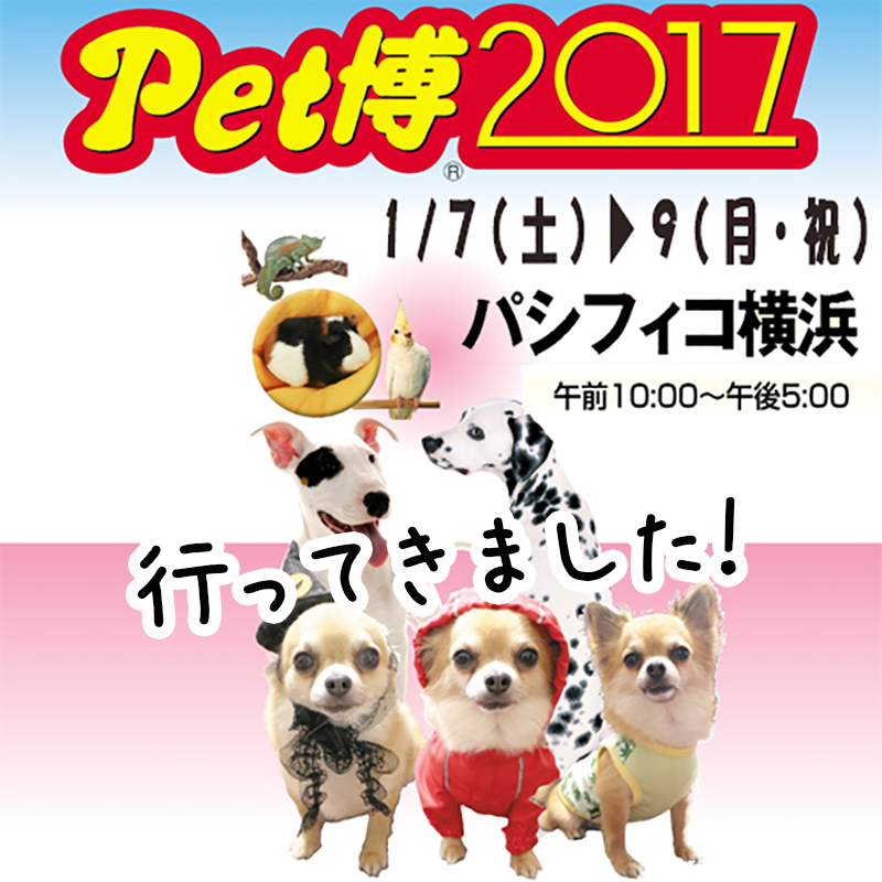 愛犬と一緒に楽しめる♪参加・体験型イベント！パシフィコ横浜で開催中の『Pet博2017 in横浜』に行ってきました！！