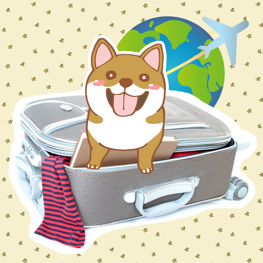 愛犬との海外旅行を計画したい！必要なことはなに？