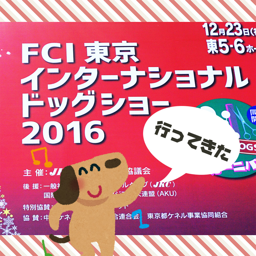 「FCI東京インターナショナルドッグショー」に行ってきた！ドッグショーの基礎知識と魅力とは？