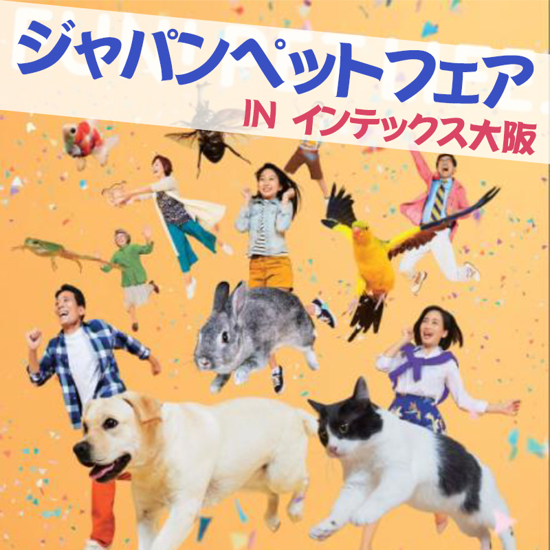 アジア最大級ペットの祭典！行かなきゃ損する「ジャパンペットフェア」が2月24日から大阪で開催！！！