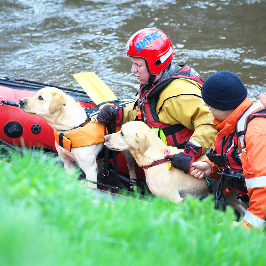 災害救助犬の活躍と引退。その後を知っていましたか？