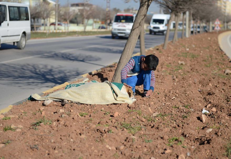 refugee-boy-helps-injured-stray-dog-turkey-1-58afe3fd60af5__880