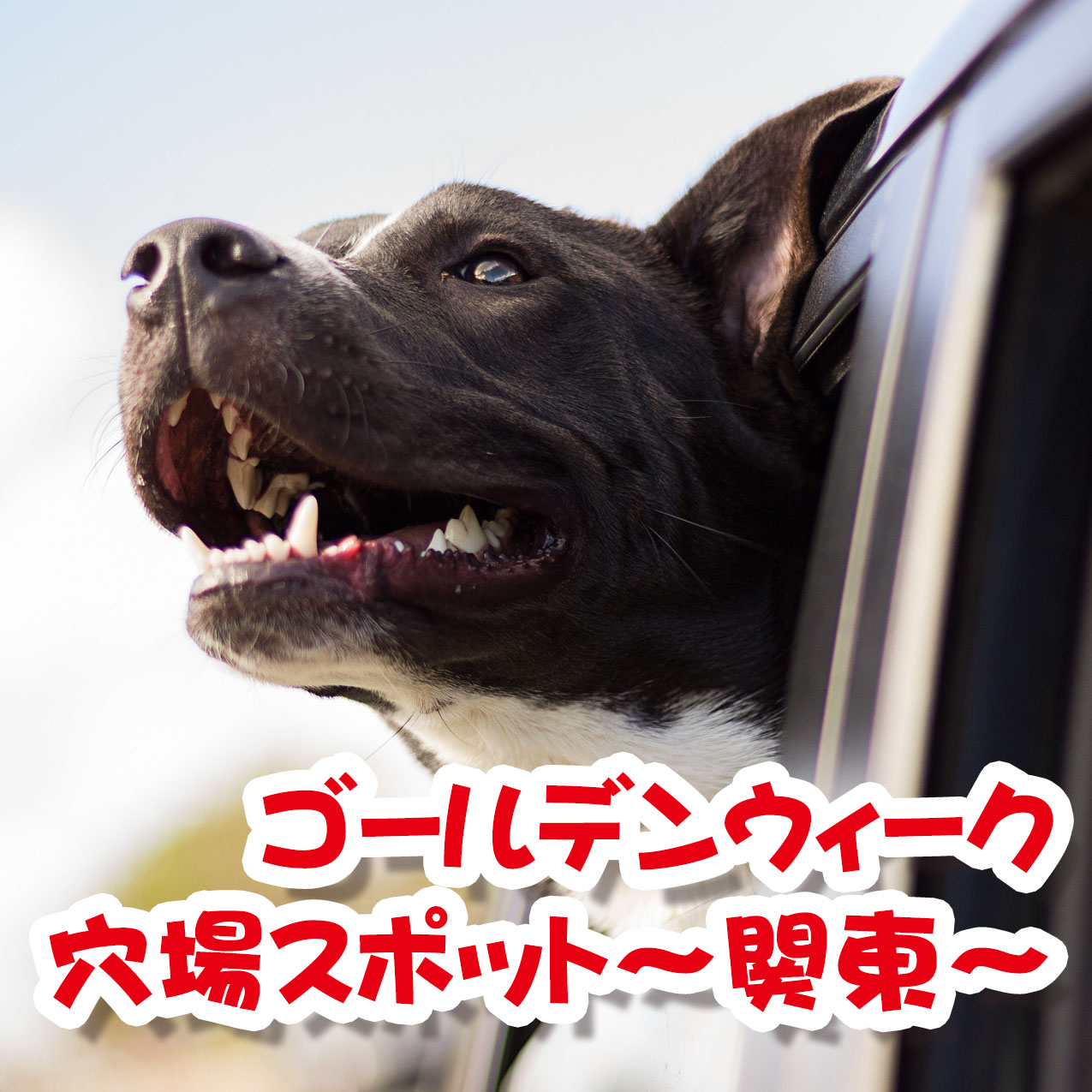 犬も一緒に♥ゴールデンウィークの穴場スポット～関東編～