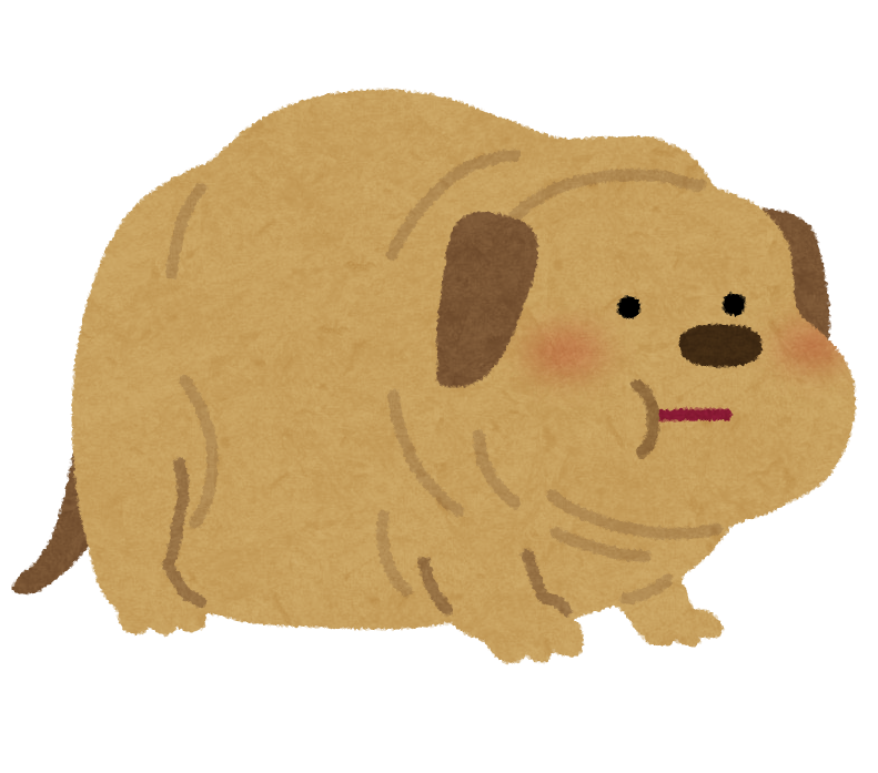 pet_fat_dog