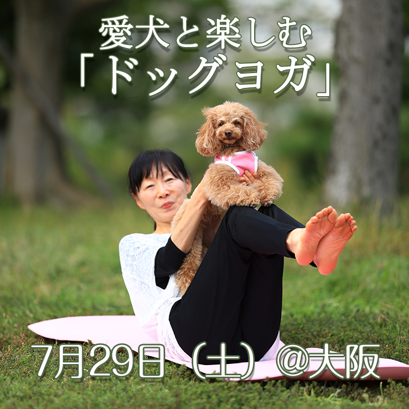 【愛犬と楽しく健康LIFE】初心者さん大歓迎♪シロタ君＆福ちゃん ドッグヨガ教室を開催！！／大阪