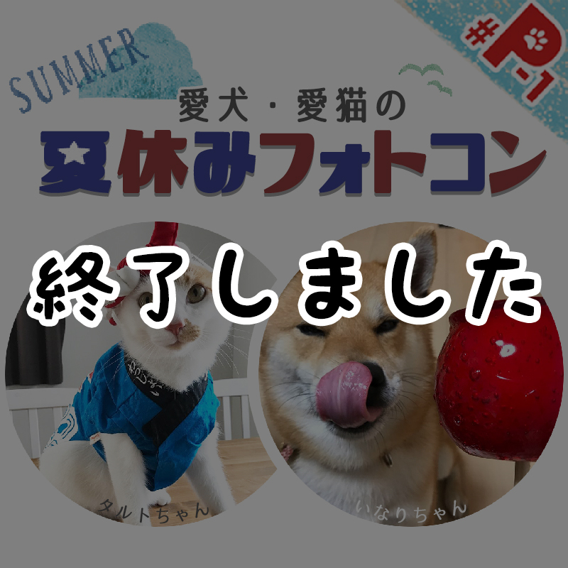 【応募終了】愛犬・愛猫の夏休みフォトコンテスト♪夏といえばコレ！な写真を大募集！！！