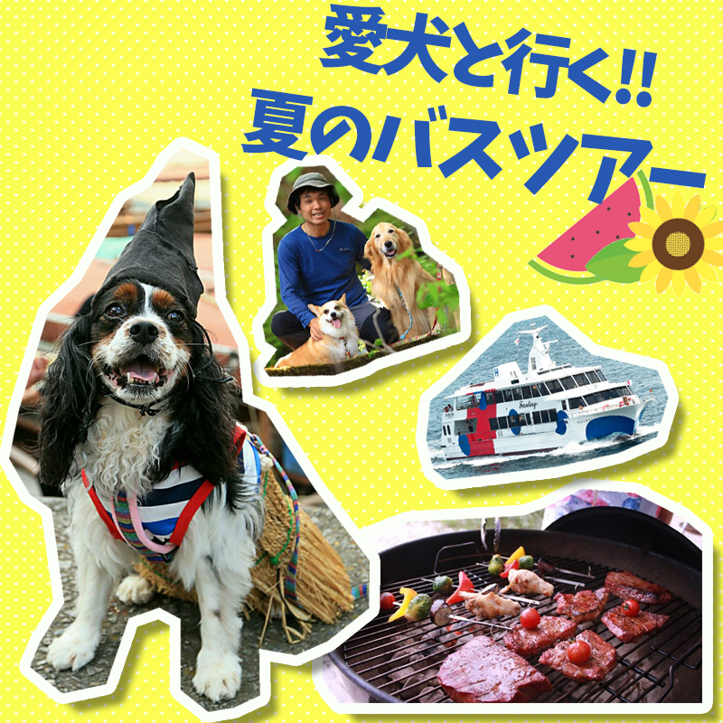 【愛犬と一緒にバスツアー】この夏の思い出はバスツアーで作ろう！夏を涼しく楽しく満喫出来るツアー特集！／関西