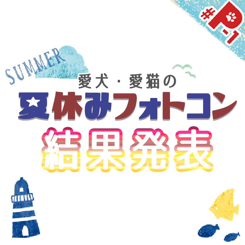 【結果発表】夏休みフォトコン♪最高の夏休みショットに選ばれたワンちゃんは果たして…！？