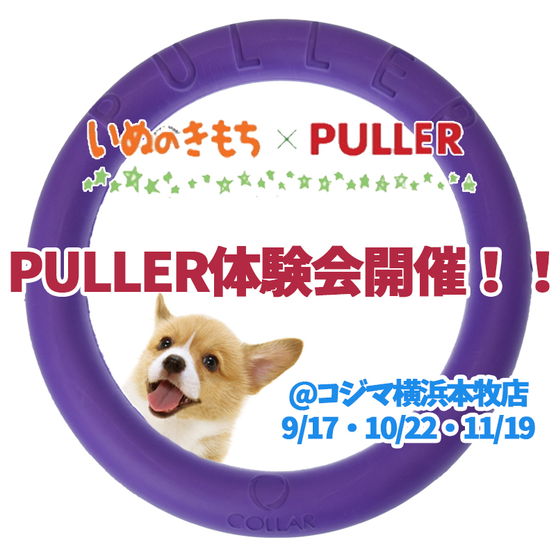 【PULLER(プラー)を知って遊ぼう！】ペットのコジマ横浜本牧店で9月17日から3ヶ月連続でイベント開催！！