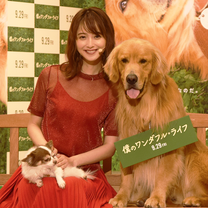佐々木希が愛犬と共に「僕のワンダフルライフ」公開直前イベントに登場！有名犬に触れながらペットへの愛を語る