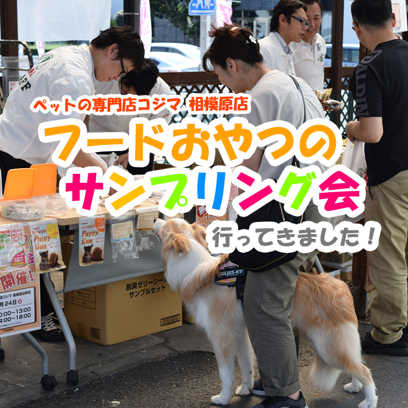 全部無料でGET♡ペットの専門店コジマ相模原店「フードおやつのサンプリング会」に行ってきました！