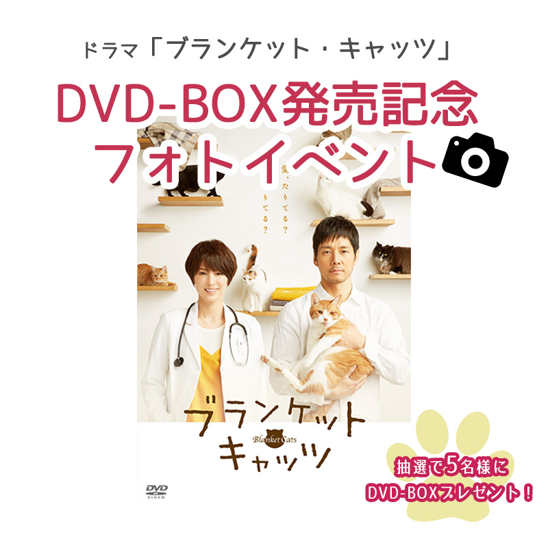 5名様に豪華プレゼント♪ドラマ「ブランケット・キャッツ」DVD-BOX発売記念フォトイベント！