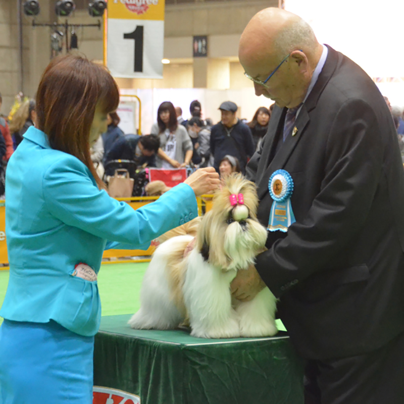 約125犬種3,500頭が集結！「FCIジャパンインターナショナルドッグショー2018」が3月30日から開催