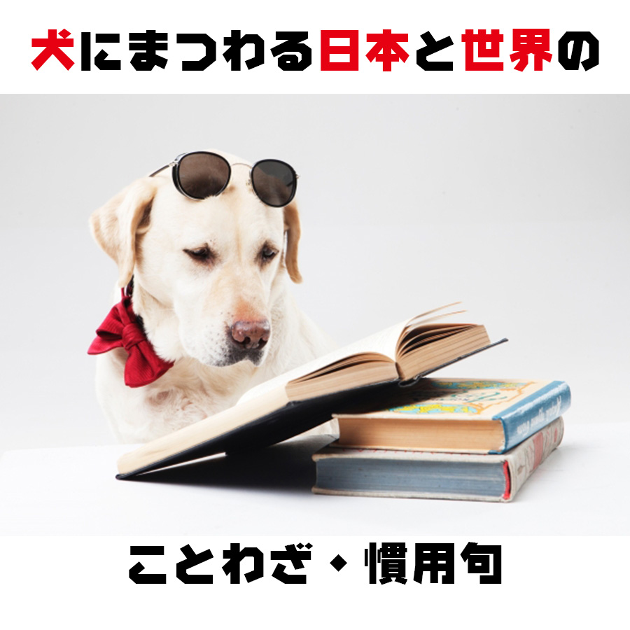 犬にまつわる日本と世界のことわざ・慣用句