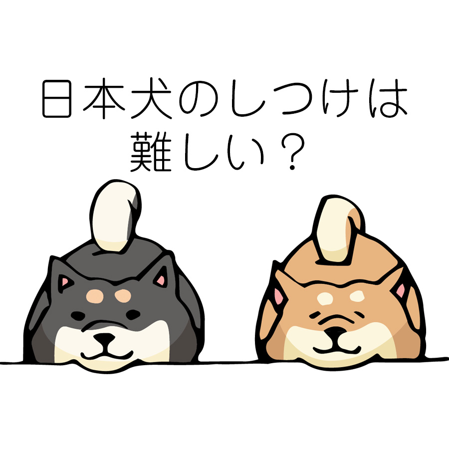 日本犬はしつけが難しい？洋犬との違いは何？