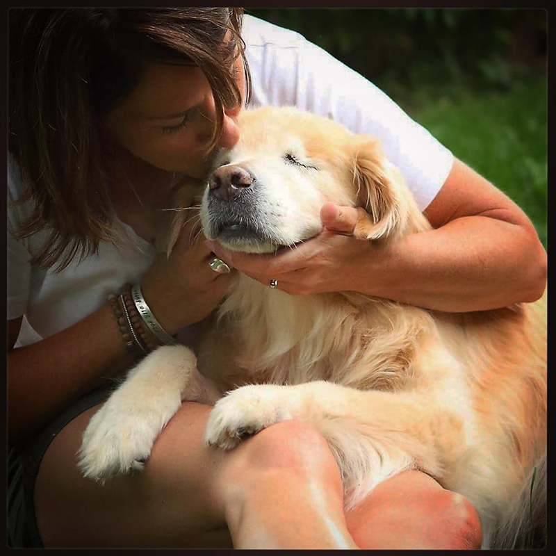 みんなを笑顔にした盲目のセラピー犬スマイリー。突然の別れに世界中から悲しみの声が寄せられる