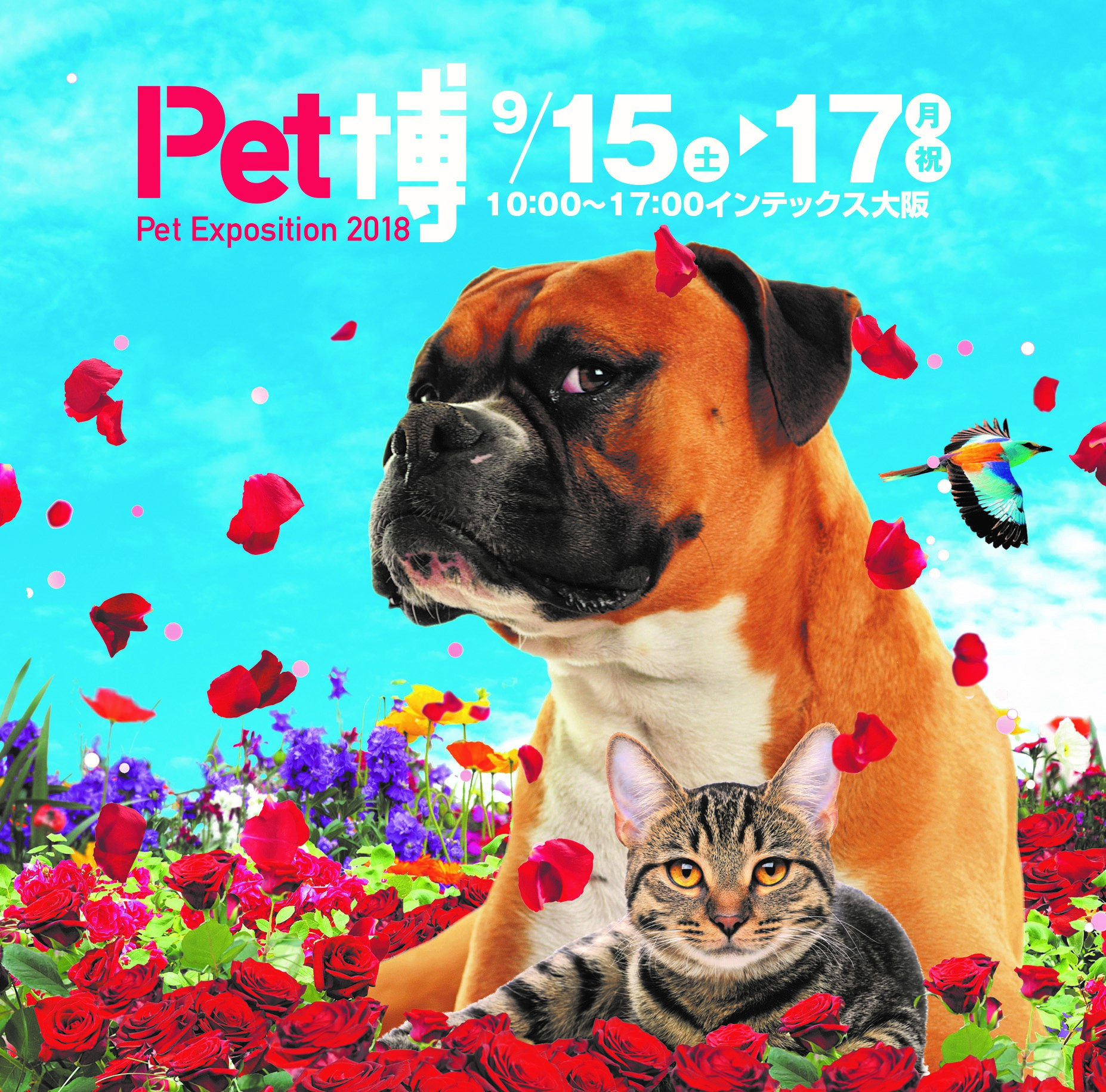 毎度大盛況のペットイベント「Pet博2018」が大阪にやってくる！9月15日から開催！