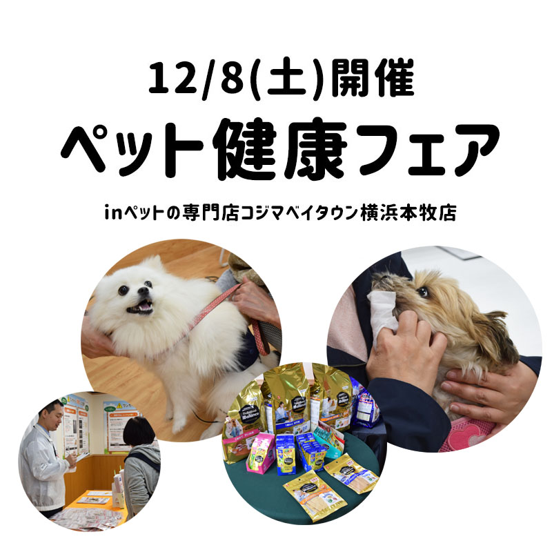 【12/8開催】ペット健康フェアに行ってきたinペットの専門店コジマベイタウン横浜本牧店