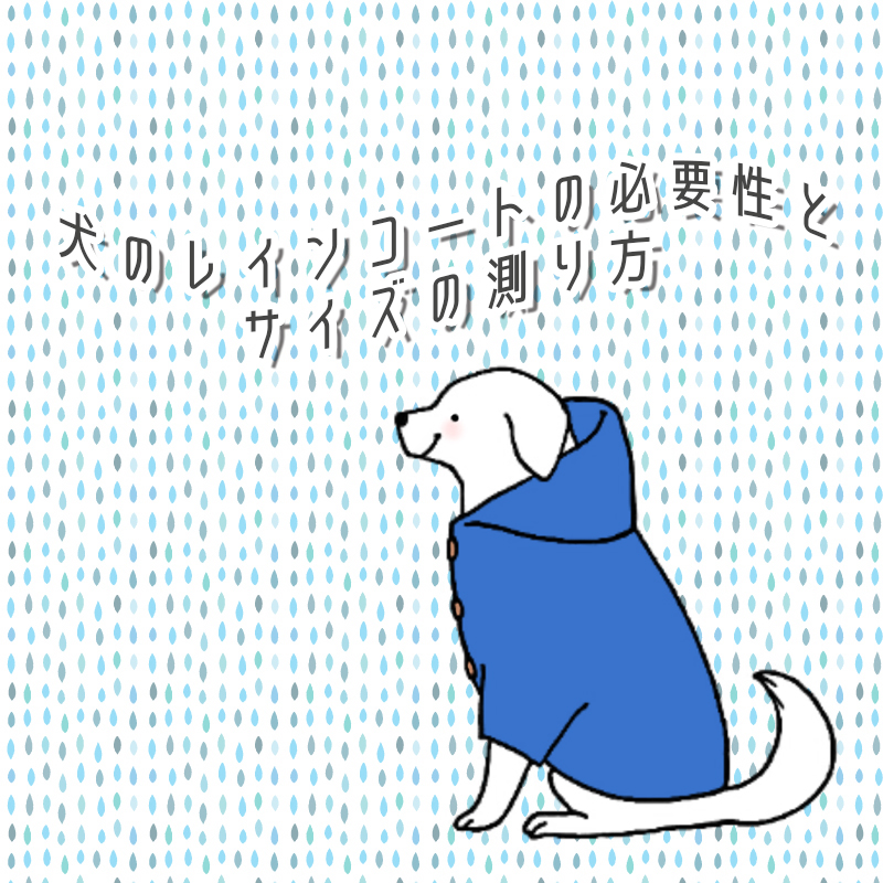雨の日の味方！犬のレインコートの必要性とサイズの測り方