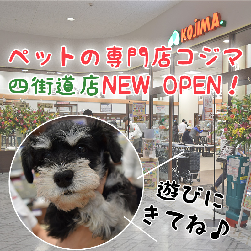 千葉県四街道市にペットの専門店コジマがニューオープン！店内の様子と今だけのお得情報をお届け