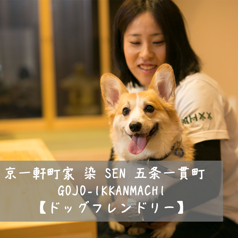 趣のある京町家で愛犬とリラックス「京一軒町家 染 SEN 五条一貫町　GOJO-IKKANMACHI【ドッグフレンドリー】」