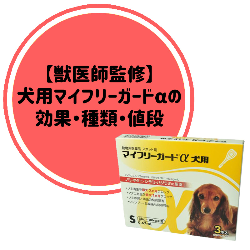 【獣医師監修】犬用ジェネリック製剤のマイフリーガードαってどんな薬？効果や値段は？