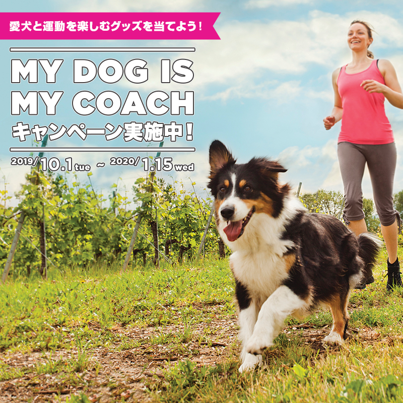 【FIT BODY新発売記念】ユーカヌバを買って愛犬と運動を楽しむグッズをGETしよう！
