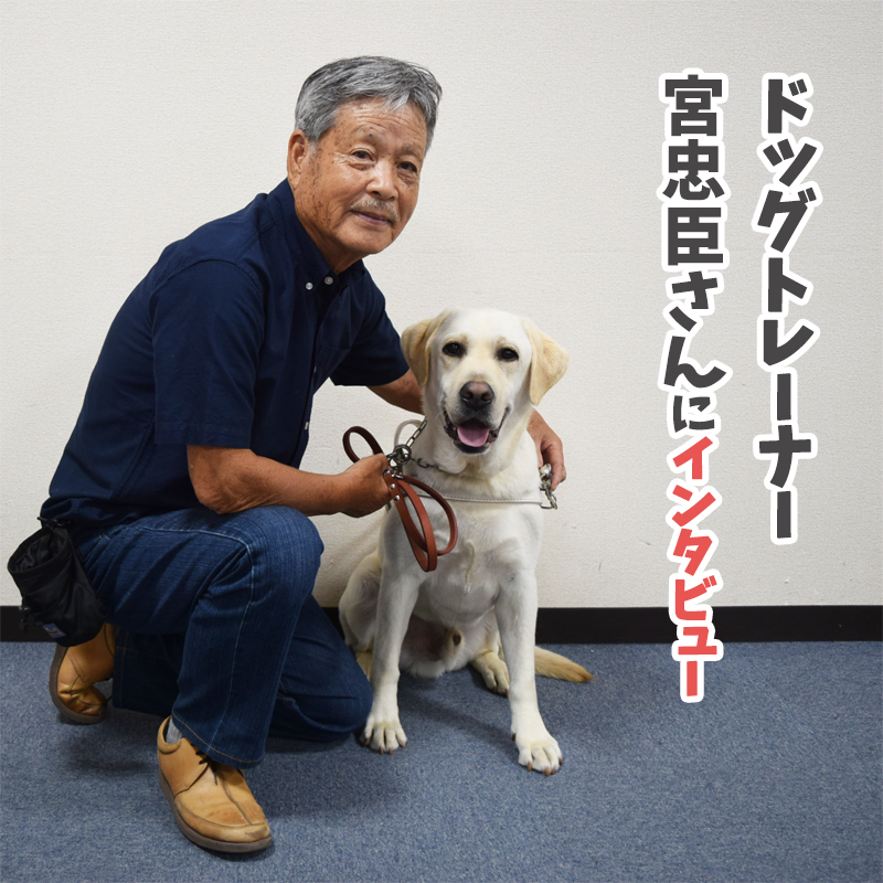 【映画『見えない目撃者』】吉岡里帆を守る犬を育てたドッグトレーナーの宮忠臣さんにインタビュー