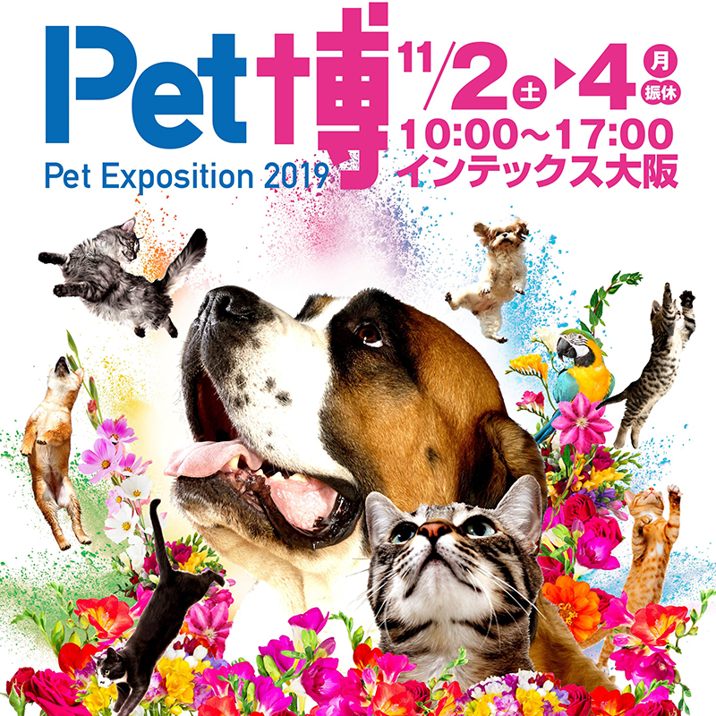 ペット同伴大歓迎！一緒に楽しめるイベントが大充実の『Pet博2019 大阪』が11月2～4日開催！／大阪