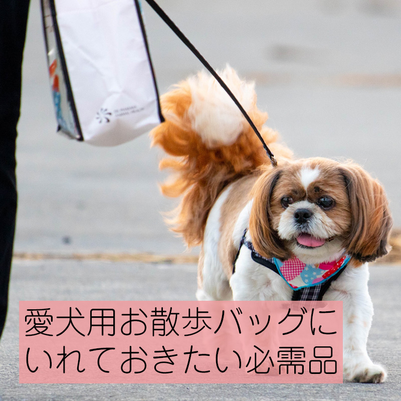 愛犬用お散歩バッグにいれておきたい必需品はコレ！おすすめのバッグもご紹介