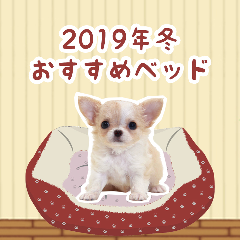 【2019年冬おすすめベッド】暖かいベッドで犬の寒さ対策をしよう！うちの子にあったベッドの形は？