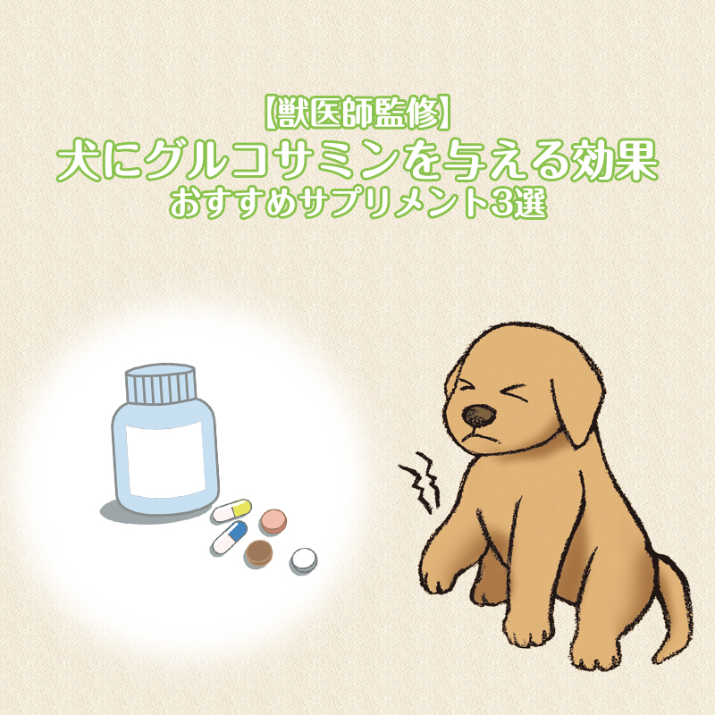 【獣医師監修】犬にグルコサミンを与える効果・おすすめサプリメント3選 評価