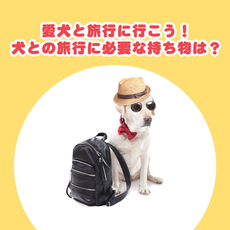 愛犬と旅行に行こう！犬との旅行に必要な持ち物は？