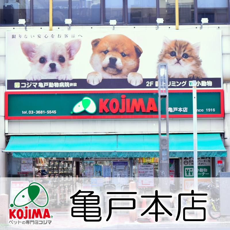 【ペットの専門店コジマ亀戸本店】長年、お客様に愛されている！ペットのコジマで最も古い店舗