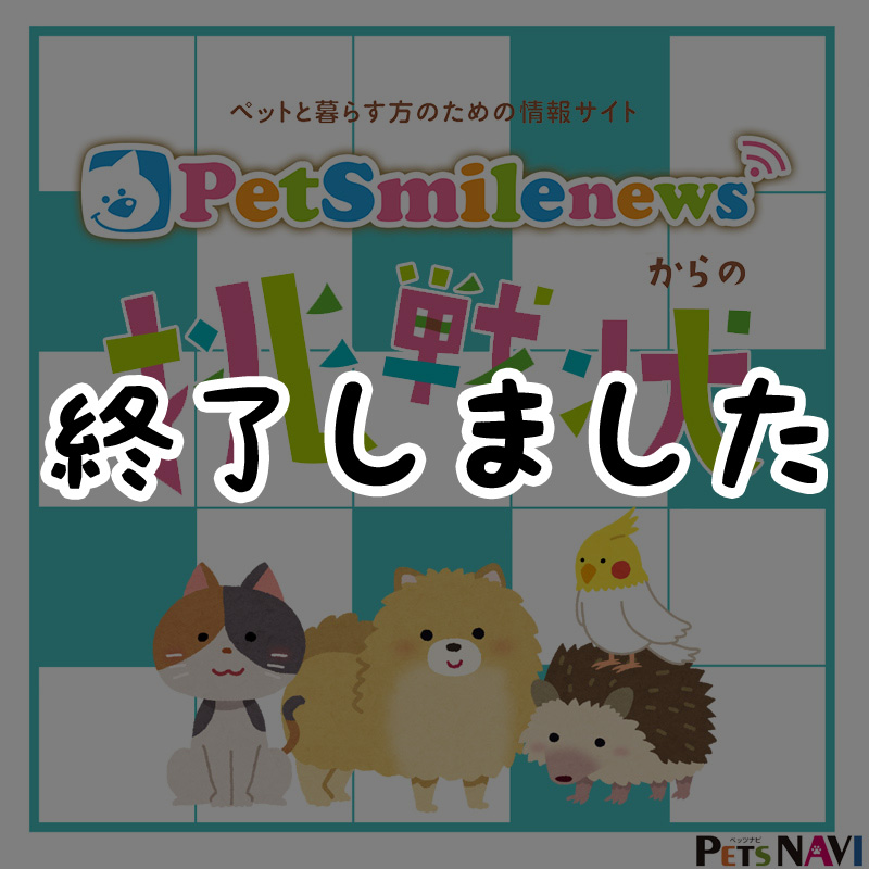 【PETSNAVI16号】ペットスマイルニュースからの挑戦状！クイズを解いて豪華賞品をゲット♪