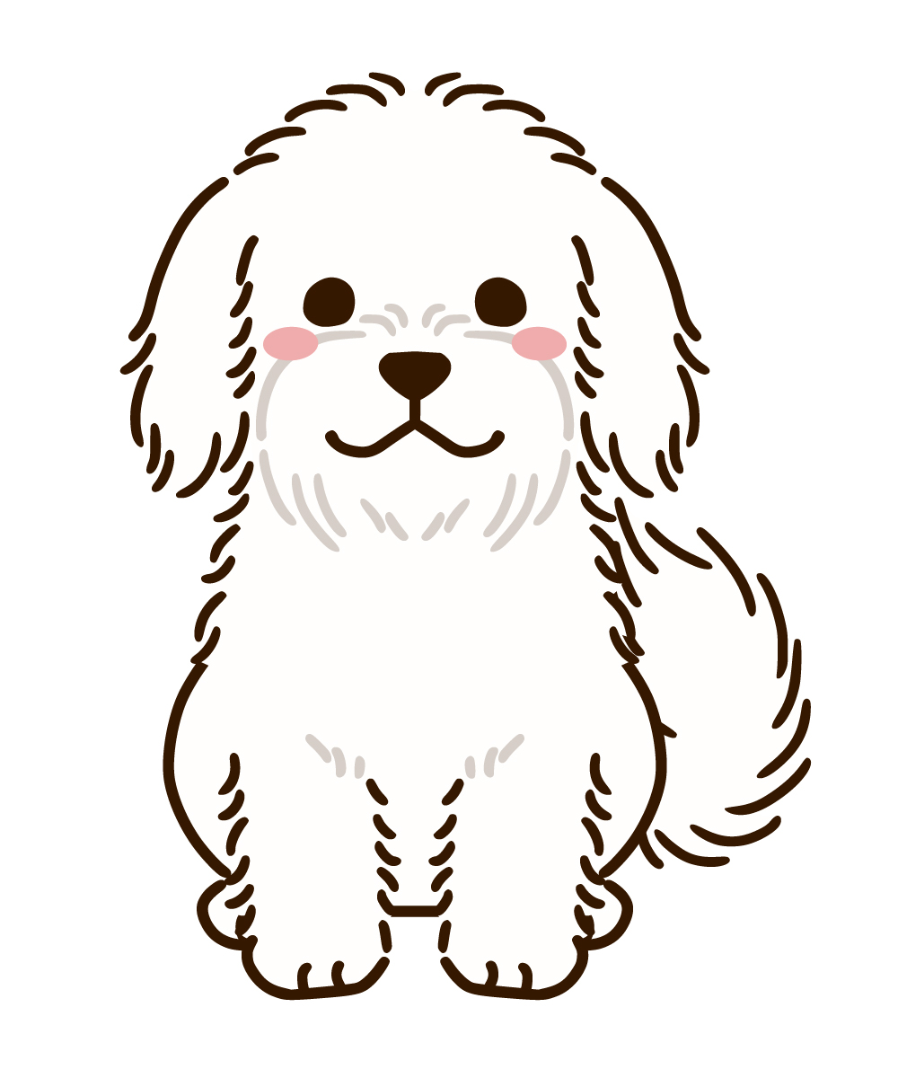 コトン・ド・テュレアール