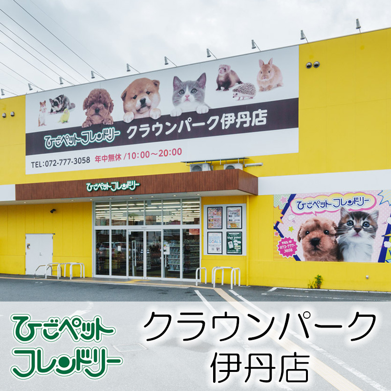 【ひごペットフレンドリークラウンパーク伊丹店】西日本最大級のペットタウン！トータルサービスを叶えます