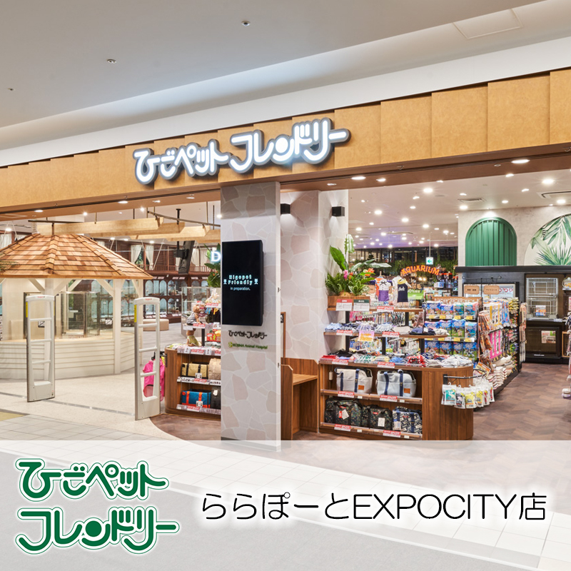 【ひごペットフレンドリーららぽーとEXPOCITY店】沢山のペットと出会える♪日本最大級の大型複合施設内にあるお店。